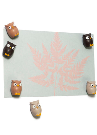 FW3542 Trendform magneten uil voor magneetbord