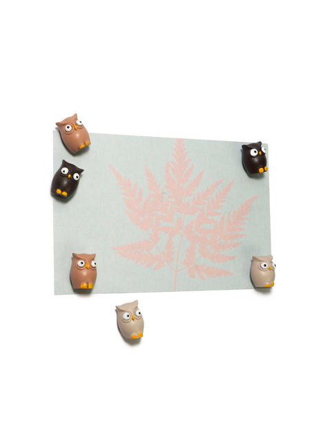 FW3542 Trendform magneten uil voor magneetbord