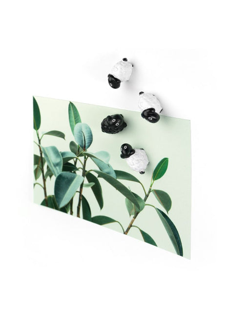 FA3737 Trendform Sheep sterke magneten schapen
