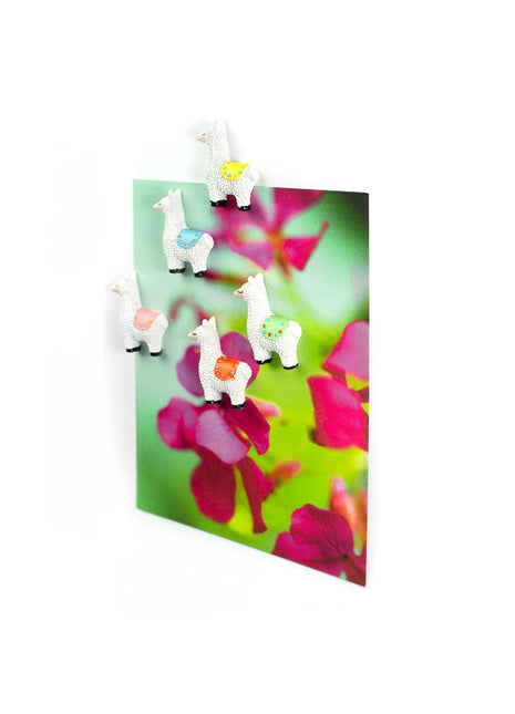 FA4584 Trendform sterke magneten Lama