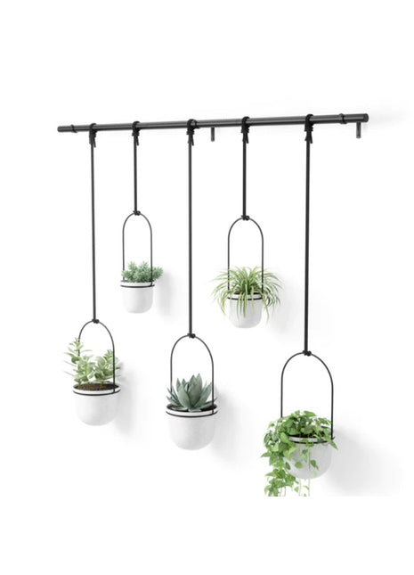 Umbra Triflora hangende planter groot - zwart / wit