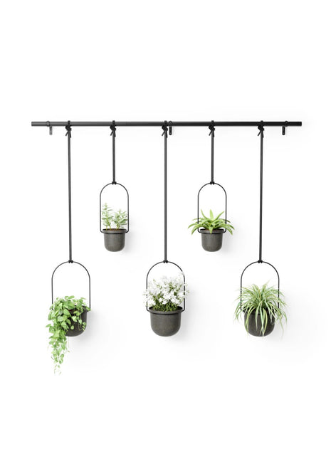 Umbra Triflora hangende planter groot - zwart