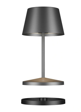 Villeroy & Boch Seoul RC lamp led oplaadbaar grafiet geborsteld - 97210