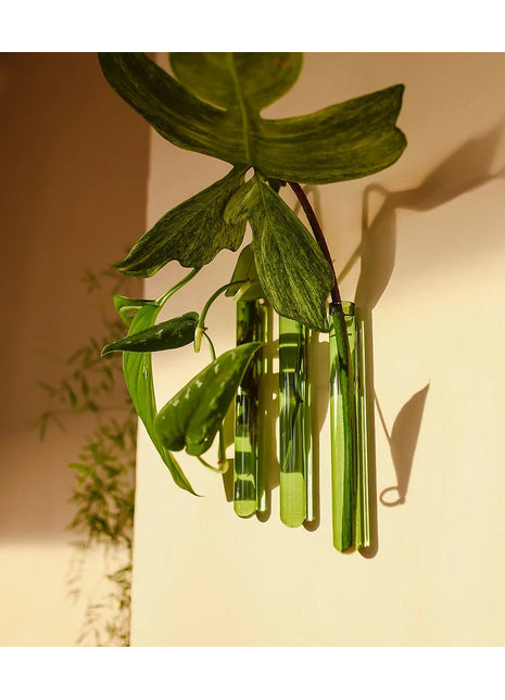 Muurbloempjes - magneet muurvaasje groen glas 3 ST