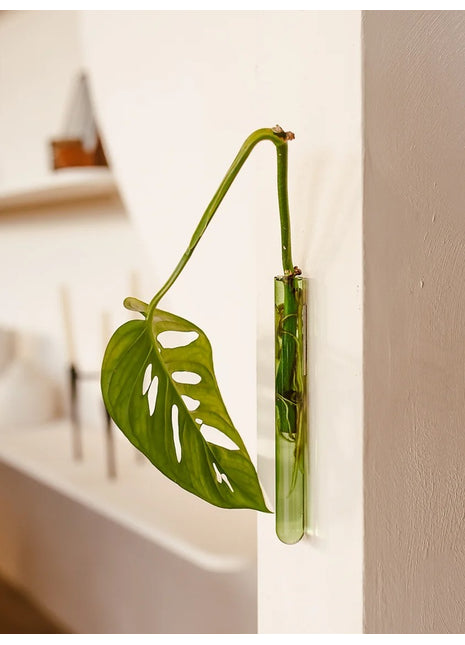 Muurbloempjes - magneet muurvaasje groen glas 1 ST