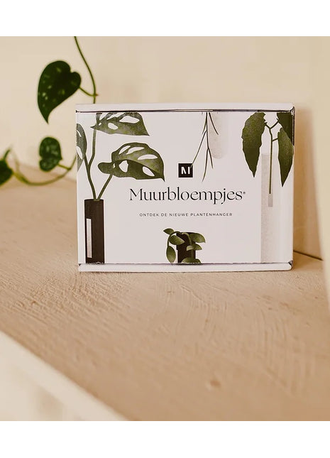 Muurbloempjes - magneet muurvaasje groen glas 3 ST