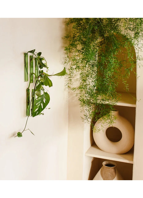 Muurbloempjes - magneet muurvaasje groen glas 6 ST