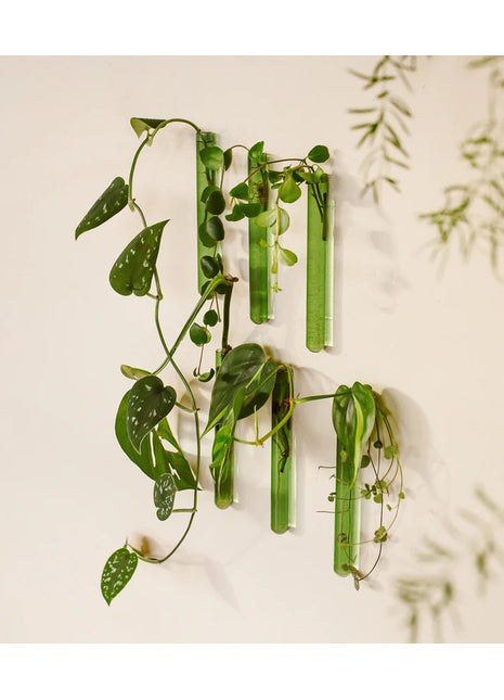 Muurbloempjes - magneet muurvaasje groen glas 6 ST