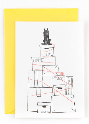 Ansichtkaart / Wenskaart - verhuizing - moving the cat