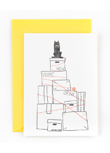 Ansichtkaart / Wenskaart - verhuizing - moving the cat
