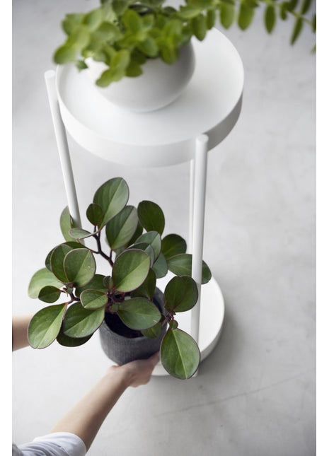 Yamazaki Tower plantenstandaard 2-laags wit