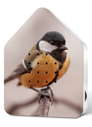 Zwitscherbox vogelhuisje limited edition great tit - koolmees