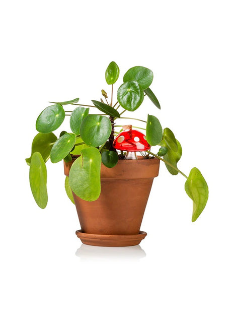 Bitten Design mushroom watergeven plantendruppelaar glas paddestoel 1918