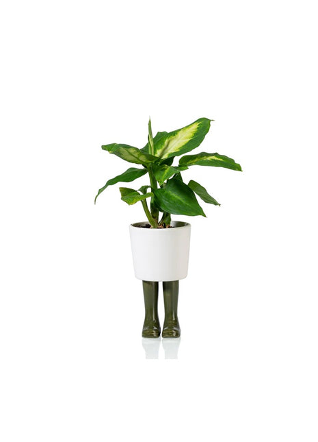 Bitten Design Wellington groene laarzen regenlaarzen bloempot S 2103GR