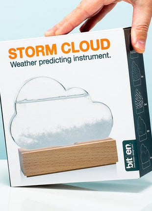 Bitten Design Storm Cloud barometer stormglas weer voorspellen 1697