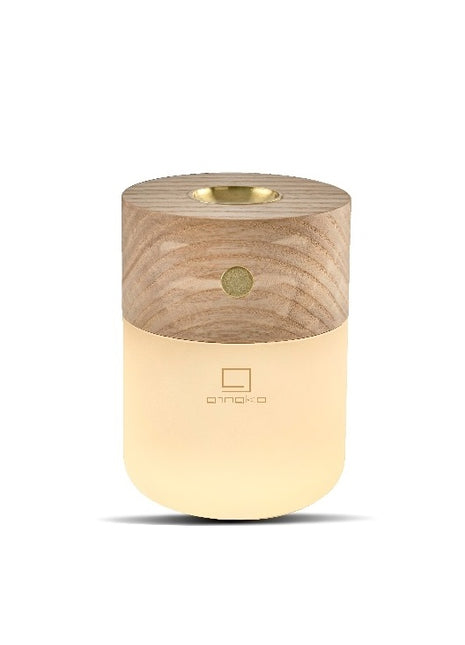 Gingko Design Smart Diffuser aromadiffuser oplaadbaar lamp essen G017AH