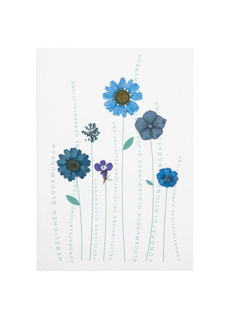 Räder wenskaart / felicitatie kaart met envelop gedroogde bloemen